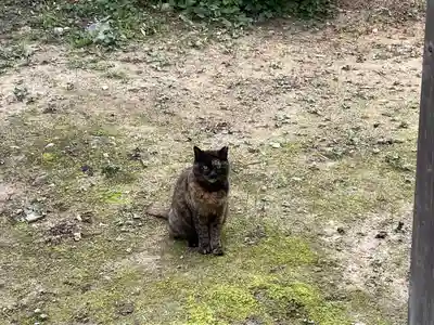 立帰天満宮(福岡県)