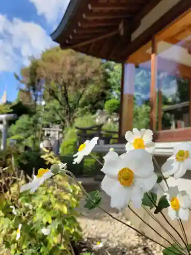 鳩森八幡神社のその他建物