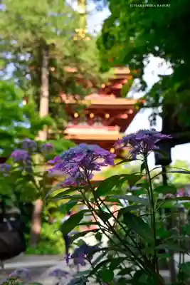 高幡不動尊　金剛寺(東京都)