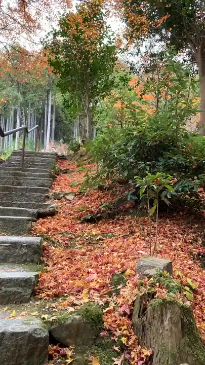 圓光寺(京都府)