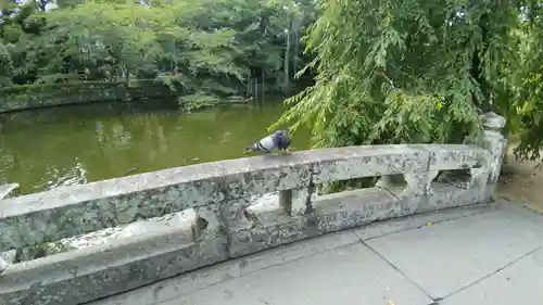 三嶋大社(静岡県)