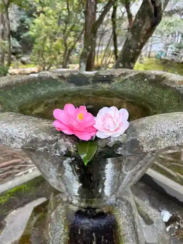 法然院(京都府)