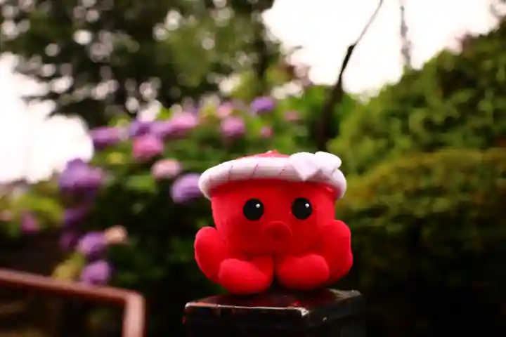 白山神社(東京都)