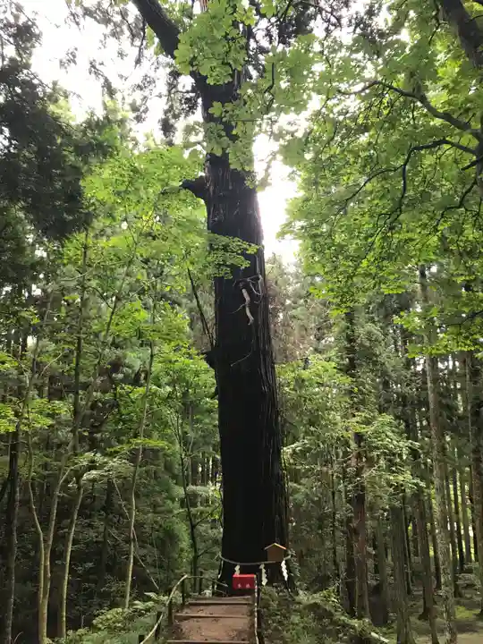 志和稲荷神社(岩手県)