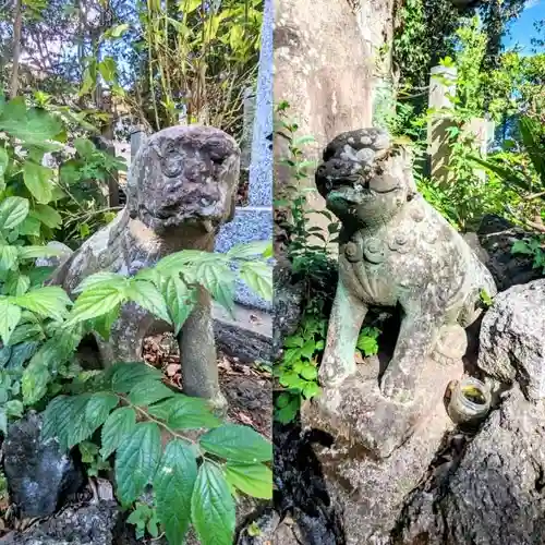 鏑木浅間神社の狛犬