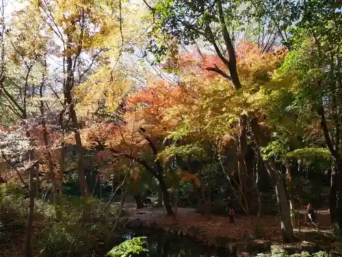 禪定院の庭園