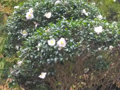 神武寺(神奈川県)