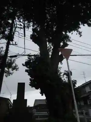 大龍寺(千葉県)