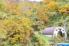 高龍神社　奥之院の自然