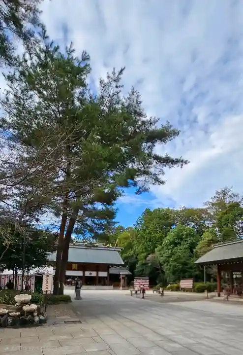 櫻木神社の{uncategorized: "未分類", other: "その他", undefined: "問題あり", building: "その他建物", grave: "お墓", sacred_gate: "鳥居", guardian: "狛犬", statue: "像", buddha: "仏像", history: "歴史", nature: "自然", garden: "庭園", animal: "動物", pagoda: "塔", temizu: "手水舎", mountain_gate: "山門・神門", sanctuary: "本殿・本堂", subordinate: "末社・摂社", art: "芸術", scenery: "景色", jizo: "地蔵", ema: "絵馬", goshuin: "御朱印", omikuji: "おみくじ", items: "授与品その他", amulet: "お守り", goshuincho: "御朱印帳", eats: "食事", festival: "お祭り", votive_dance: "神楽", shichigosan: "七五三参", wedding: "結婚式", experience: "体験その他", initially: "初詣", around: "周辺", anti_infection: "感染症対策"}