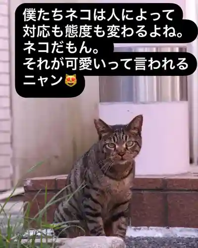 専念寺(大阪府)