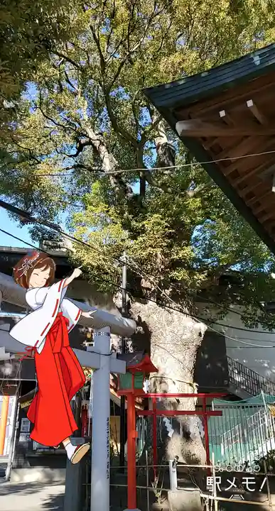 五方山熊野神社の自然