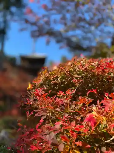 常樂寺(滋賀県)