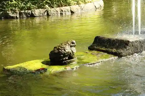 寒川神社(神奈川県)