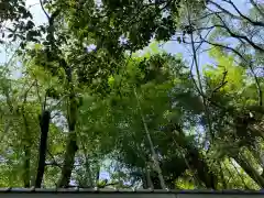 自凝島神社の自然