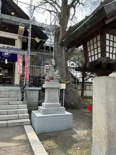 豊平神社の狛犬