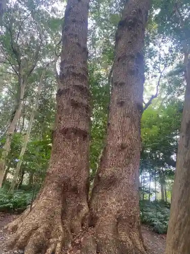 伊雜宮（皇大神宮別宮）(三重県)