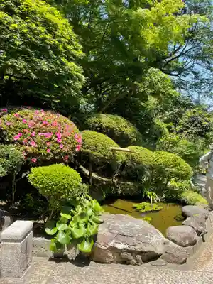 報国寺(神奈川県)
