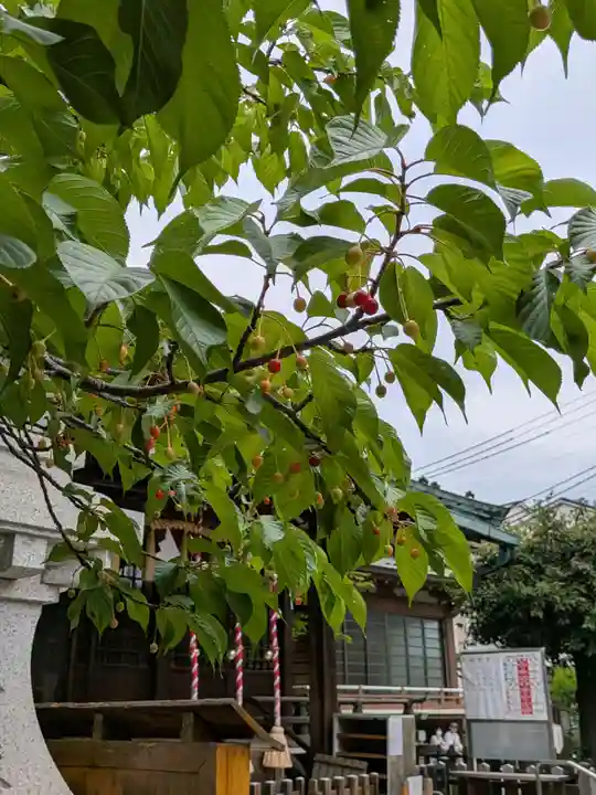 新宿下落合氷川神社(東京都)