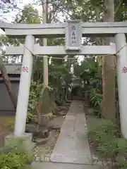 篠崎浅間神社の鳥居