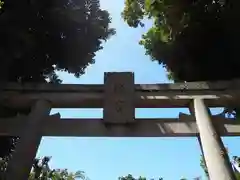 江島神社の鳥居