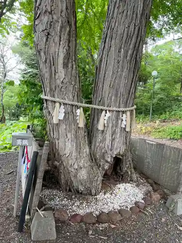 浦幌神社・乳神神社の自然