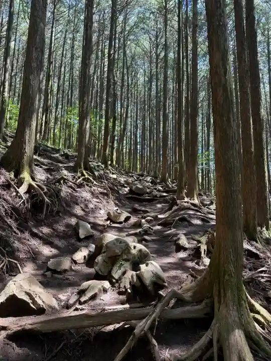 武甲山御嶽神社(埼玉県)