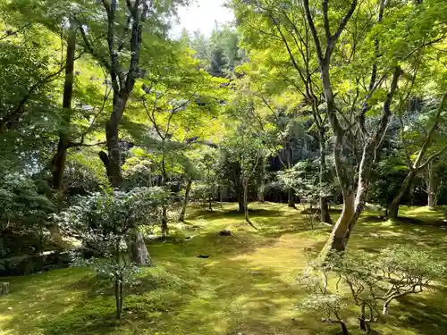 慈照寺（慈照禅寺・銀閣寺）(京都府)