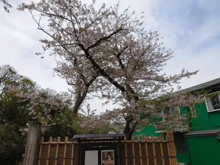 三渓園天満宮の自然
