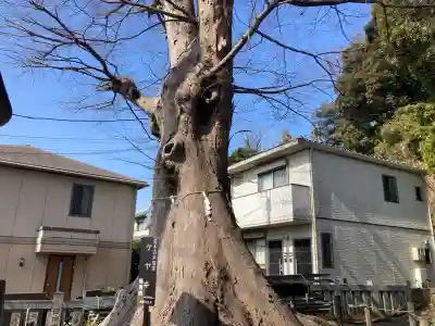 白旗神社(平戸白旗神社)(神奈川県)