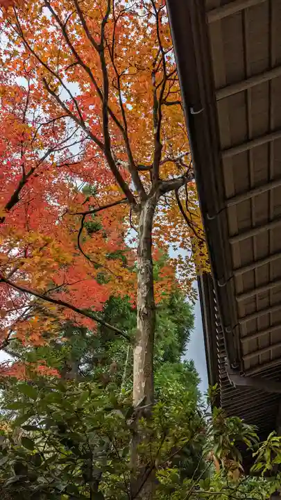 光悦寺(京都府)