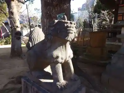 西向天神社の狛犬