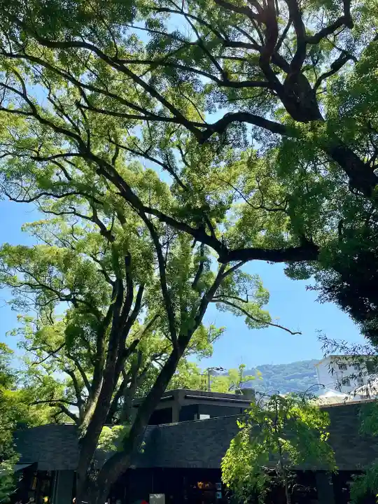 來宮神社(静岡県)