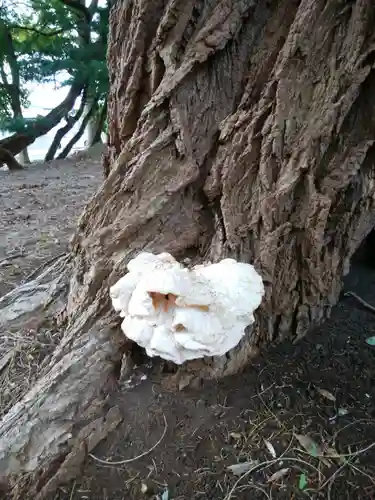 南幌神社(北海道)