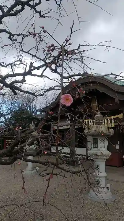 比佐豆知神社(三重県)