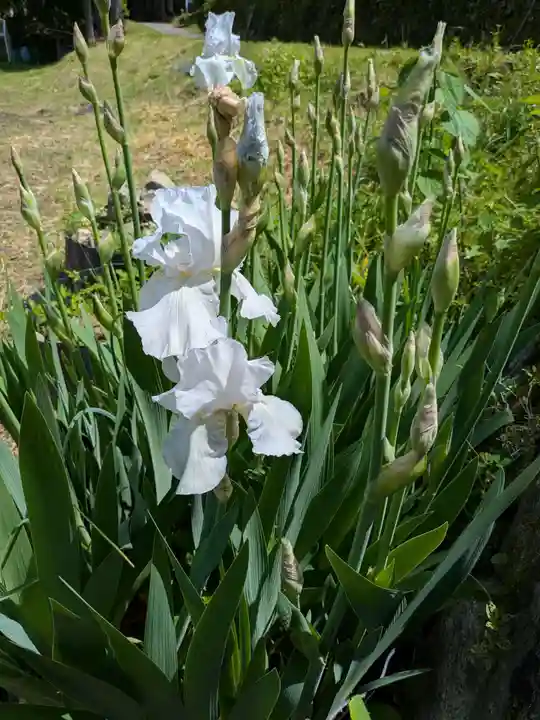 東光寺(岐阜県)