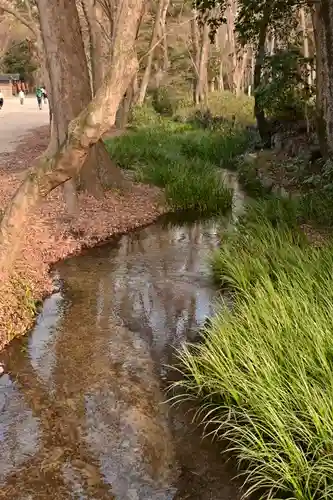 河合神社（鴨川合坐小社宅神社）(京都府)