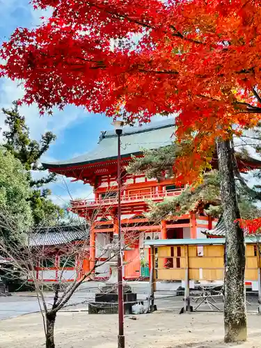 今宮神社の山門・神門