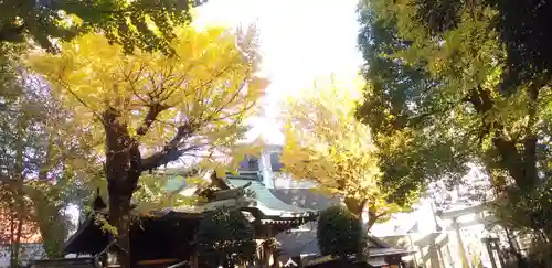 小野照崎神社のその他建物