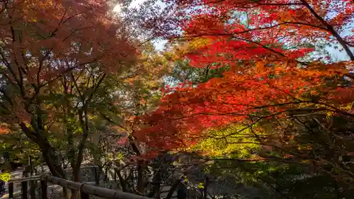 北野天満宮(京都府)