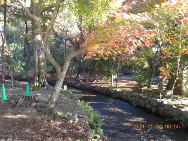 賀茂別雷神社(上賀茂神社)の庭園