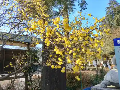 磐裂根裂神社(栃木県)