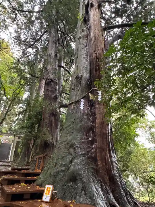 白山比咩神社(石川県)