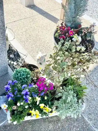 眞中神社の{uncategorized: "未分類", other: "その他", undefined: "問題あり", building: "その他建物", grave: "お墓", sacred_gate: "鳥居", guardian: "狛犬", statue: "像", buddha: "仏像", history: "歴史", nature: "自然", garden: "庭園", animal: "動物", pagoda: "塔", temizu: "手水舎", mountain_gate: "山門・神門", sanctuary: "本殿・本堂", subordinate: "末社・摂社", art: "芸術", scenery: "景色", jizo: "地蔵", ema: "絵馬", goshuin: "御朱印", omikuji: "おみくじ", items: "授与品その他", amulet: "お守り", goshuincho: "御朱印帳", eats: "食事", festival: "お祭り", votive_dance: "神楽", shichigosan: "七五三参", wedding: "結婚式", experience: "体験その他", initially: "初詣", around: "周辺", anti_infection: "感染症対策"}