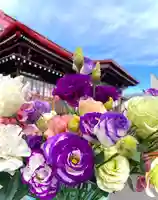 伊達神社(北海道)