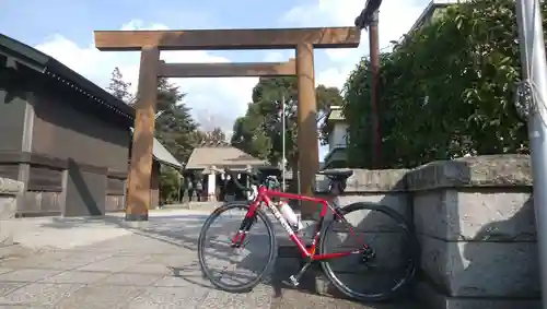 寒川神社の鳥居