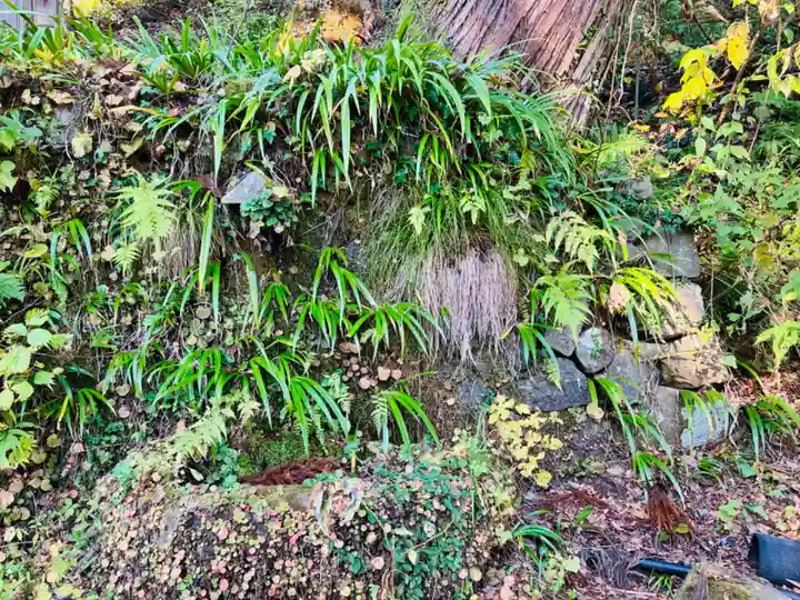諏訪神社の手水舎