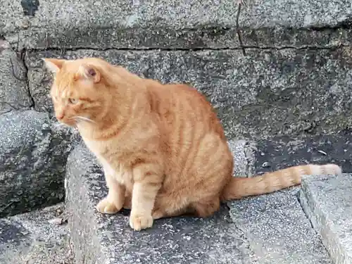 御袖天満宮の動物