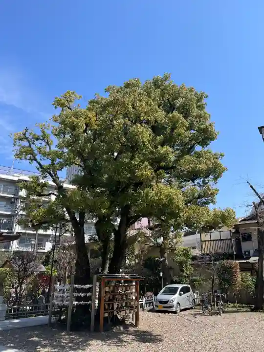 蒲田八幡神社の{uncategorized: "未分類", other: "その他", undefined: "問題あり", building: "その他建物", grave: "お墓", sacred_gate: "鳥居", guardian: "狛犬", statue: "像", buddha: "仏像", history: "歴史", nature: "自然", garden: "庭園", animal: "動物", pagoda: "塔", temizu: "手水舎", mountain_gate: "山門・神門", sanctuary: "本殿・本堂", subordinate: "末社・摂社", art: "芸術", scenery: "景色", jizo: "地蔵", ema: "絵馬", goshuin: "御朱印", omikuji: "おみくじ", items: "授与品その他", amulet: "お守り", goshuincho: "御朱印帳", eats: "食事", festival: "お祭り", votive_dance: "神楽", shichigosan: "七五三参", wedding: "結婚式", experience: "体験その他", initially: "初詣", around: "周辺", anti_infection: "感染症対策"}