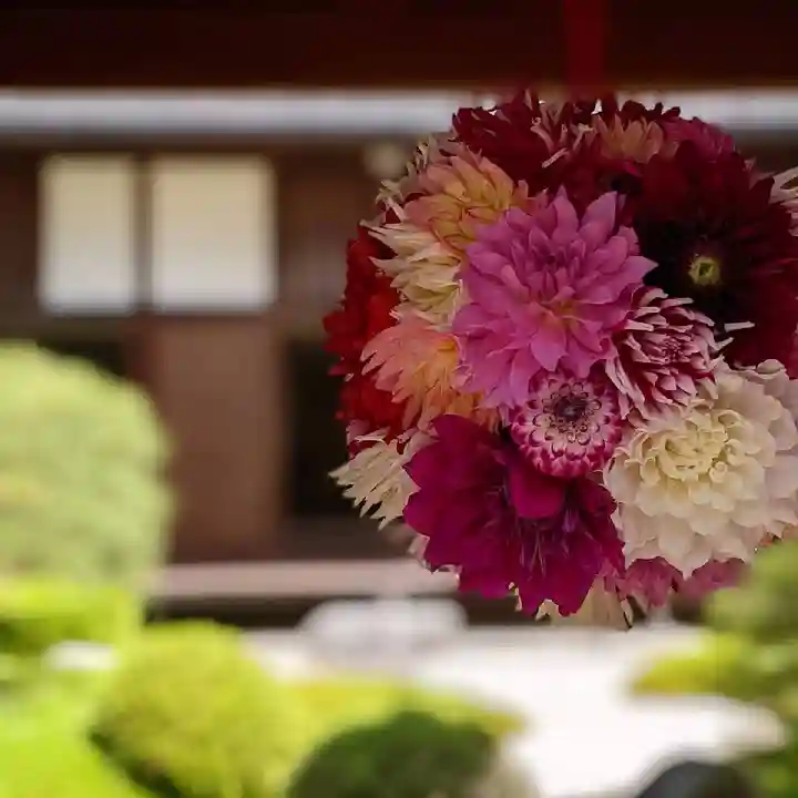 岡寺(龍蓋寺)の自然